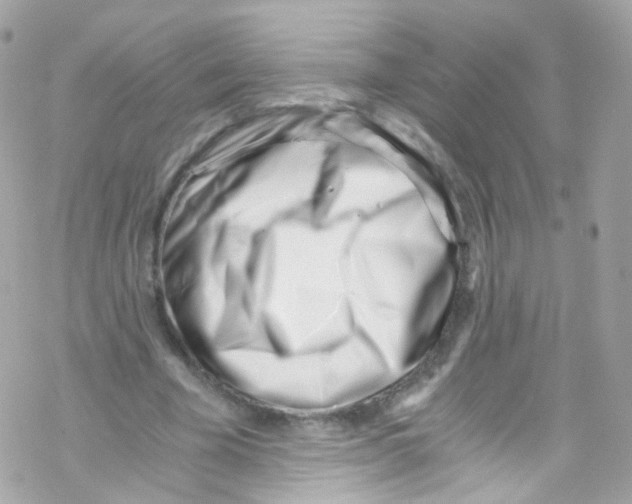 X0000069410585200606091809