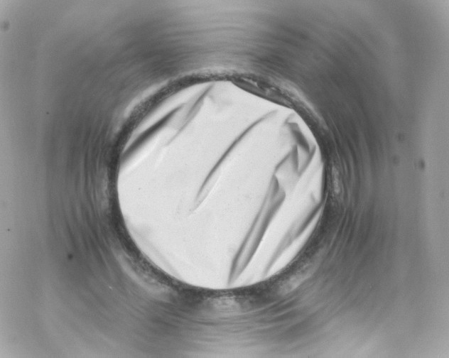 X0000069410588200606091808