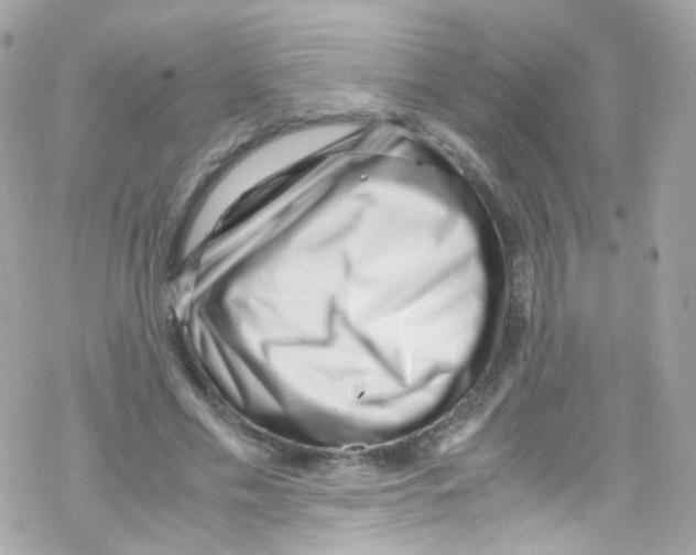 X0000069410589200606091808
