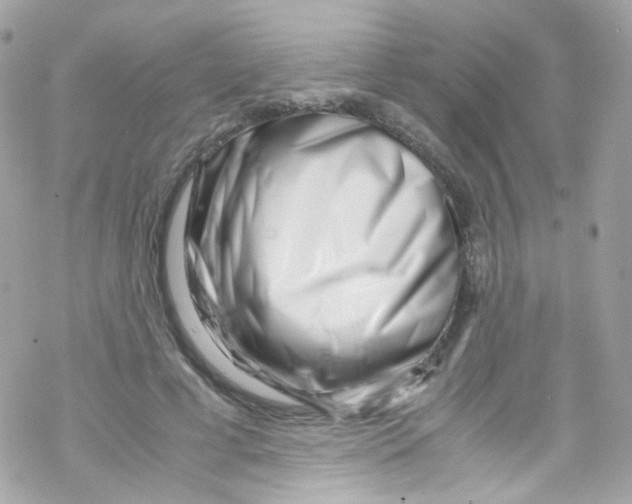 X0000069410593200606091808