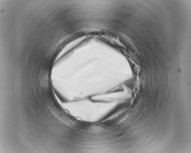X0000069410596200606091808
