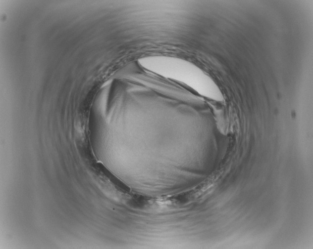 X0000069410607200606091808
