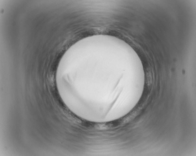 X0000069410613200606091808