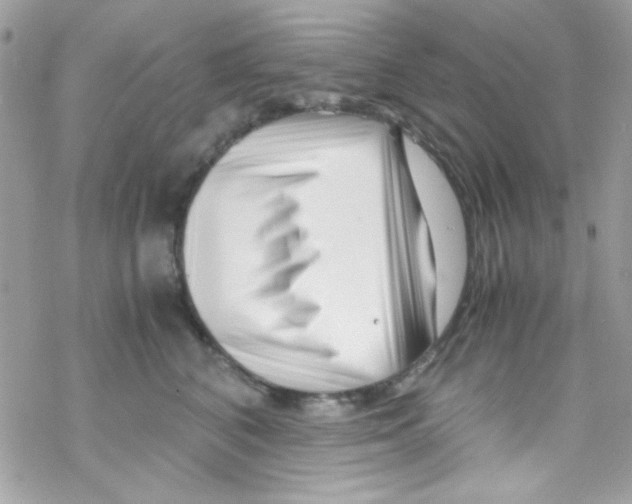 X0000069410616200606091808