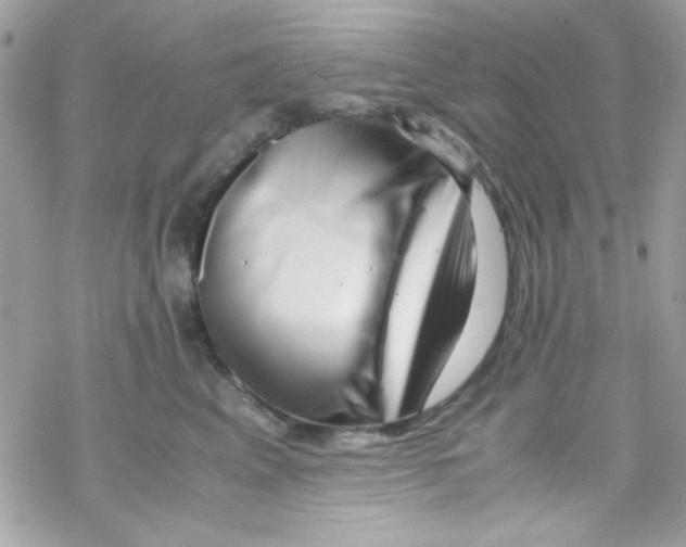 X0000069410617200606091808