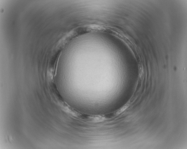 X0000069410621200606091808