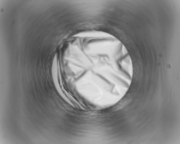 X0000069410624200606091808