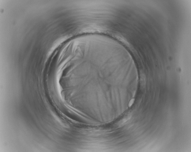 X0000069410626200606091807
