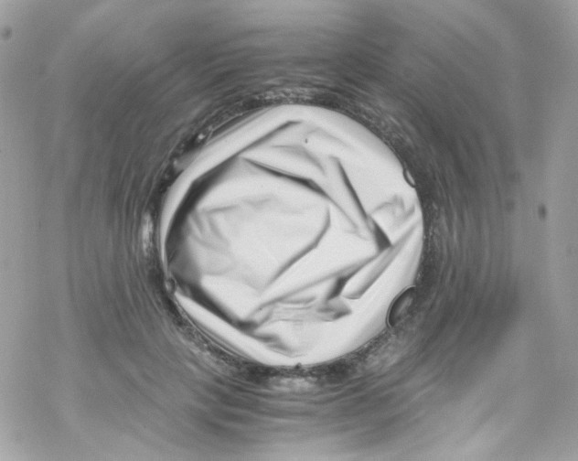 X0000069410649200606091807