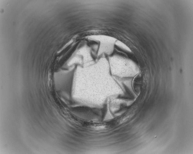 X0000069410651200606091808