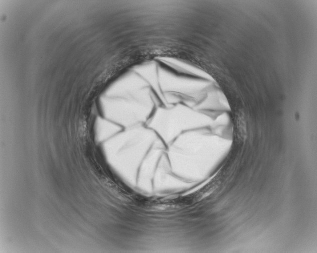 X0000069410657200606091808