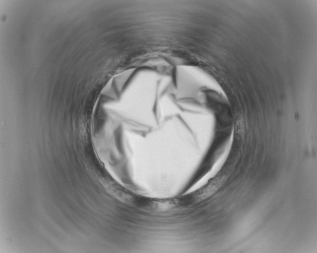 X0000069410662200606091808