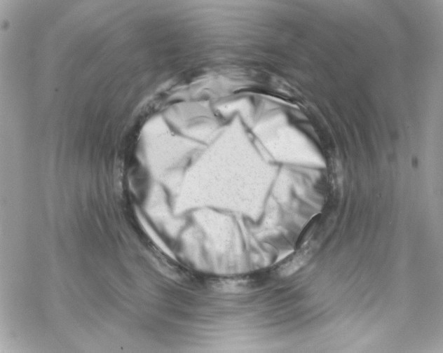 X0000069410664200606091808