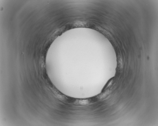 X0000069410665200606091808