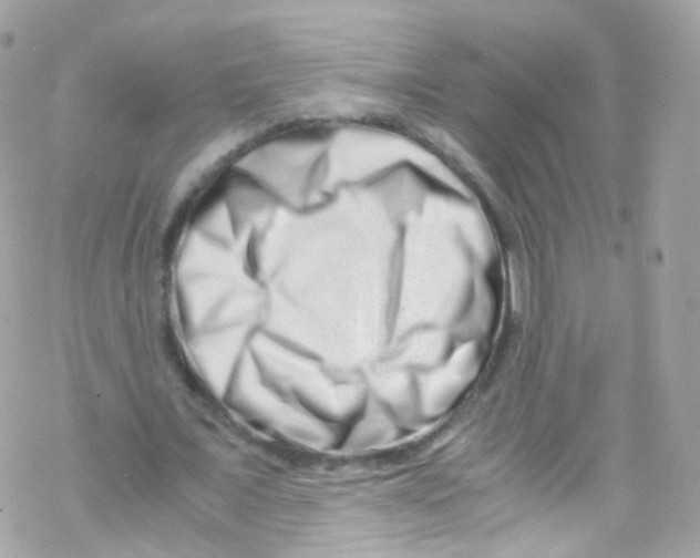 X0000069410675200606091807