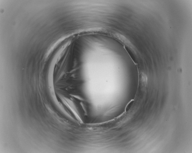 X0000069410676200606091807