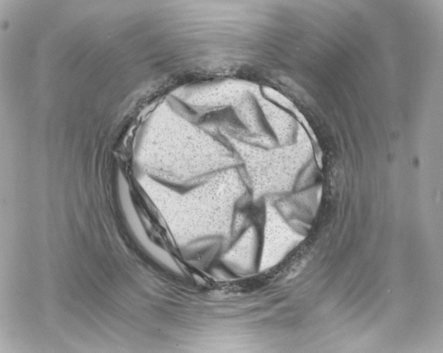 X0000069410693200606091807