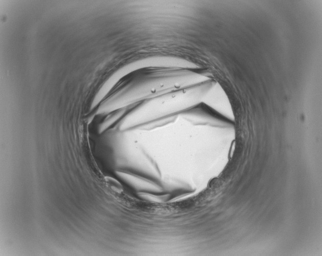 X0000069410697200606091807