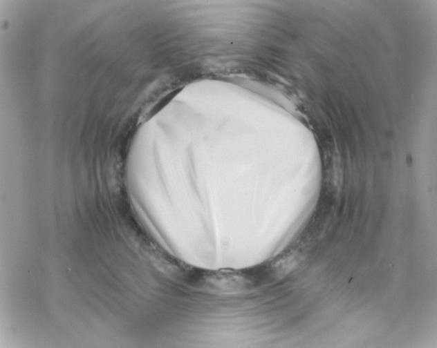 X0000069410712200606091806