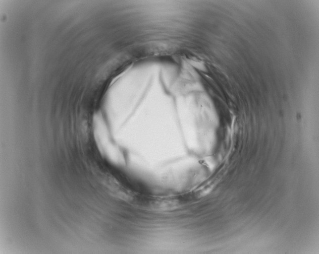 X0000069410716200606091806