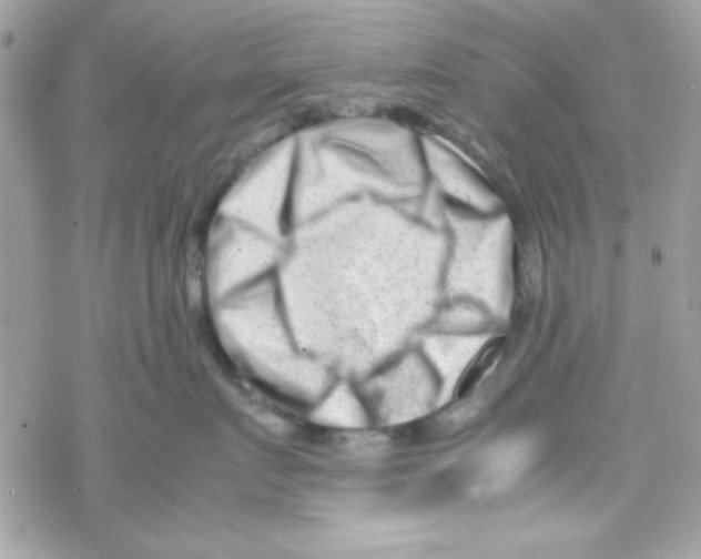 X0000069410719200606091806