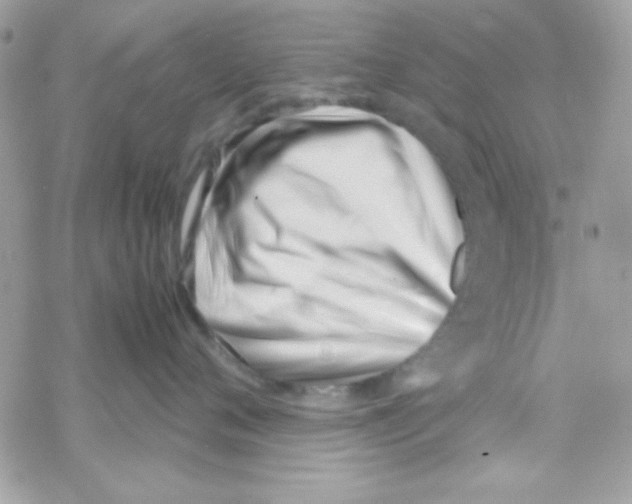 X0000069410720200606091806