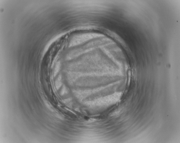 X0000069410724200606091806