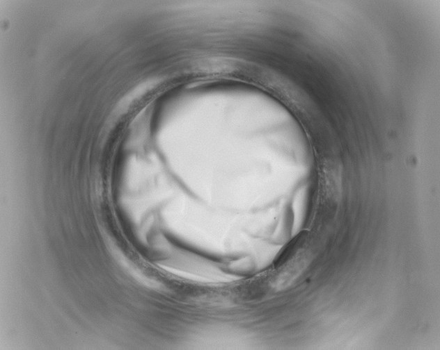 X0000069410726200606091806