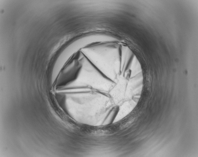 X0000069410734200606091806