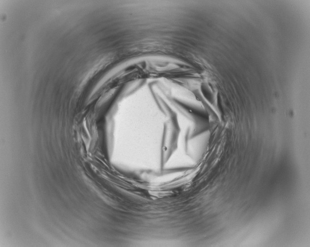 X0000069410735200606091806