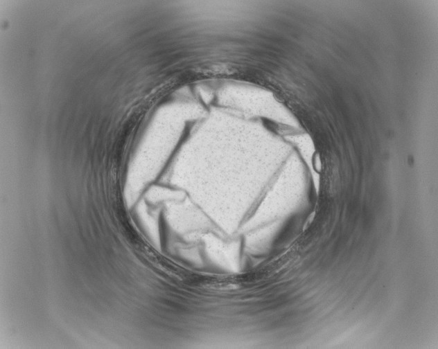 X0000069410747200606091806