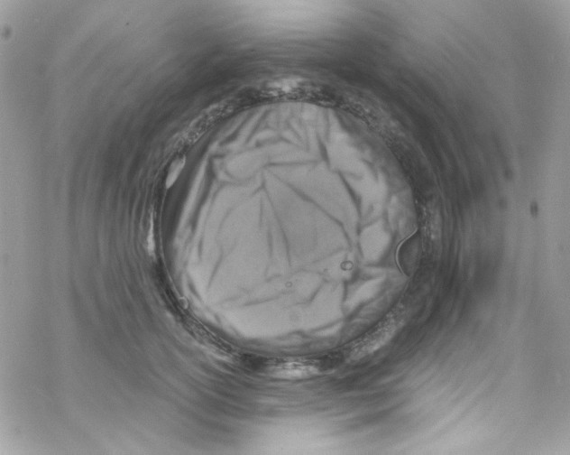 X0000069410754200606091806