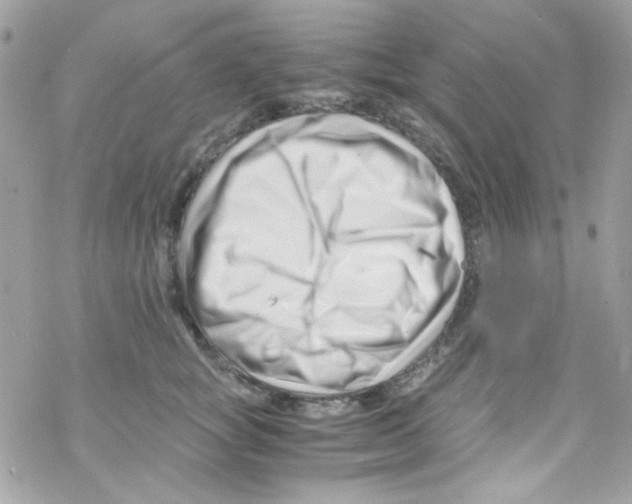 X0000069410757200606091806