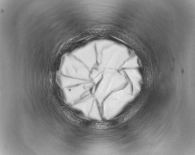 X0000069410758200606091806