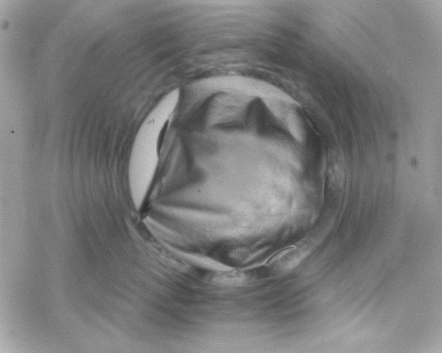 X0000069410767200606091806
