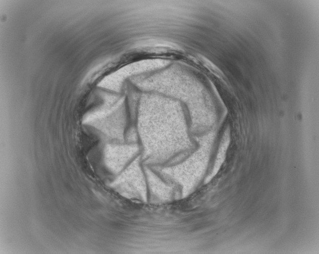X0000069410775200606091805