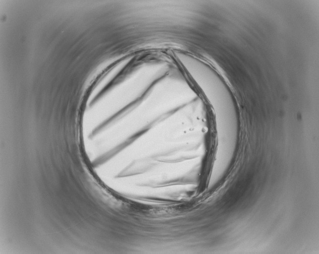 X0000069410795200606091805