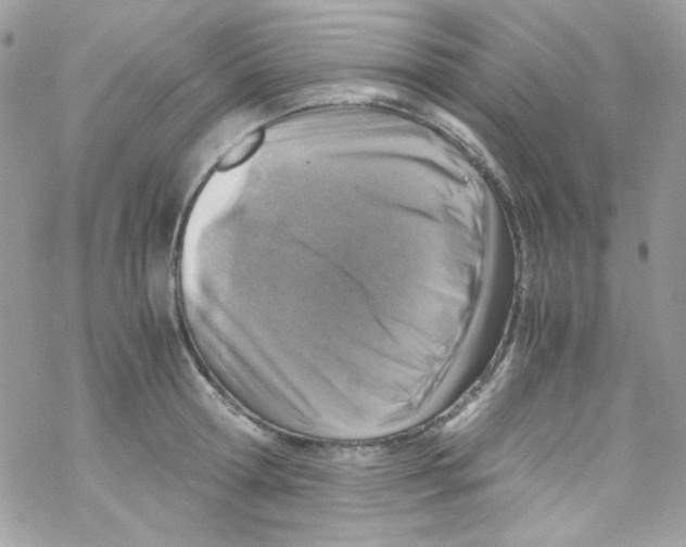 X0000069410802200606091805