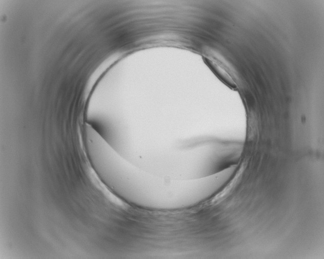 X0000069410812200606091805