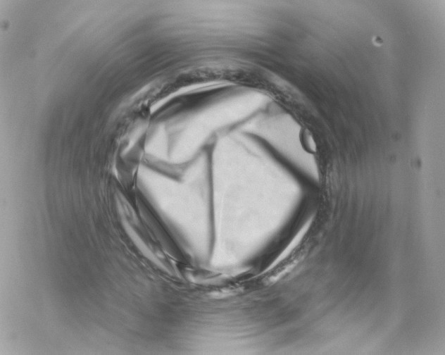 X0000069410822200606091804