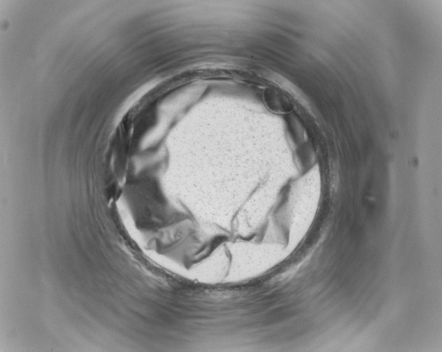 X0000069410829200606091804