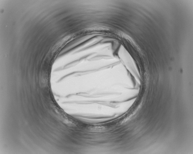 X0000069410833200606091804