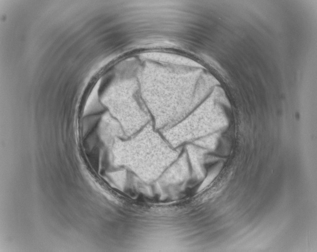 X0000069410840200606091804