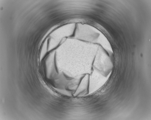 X0000069410852200606091805
