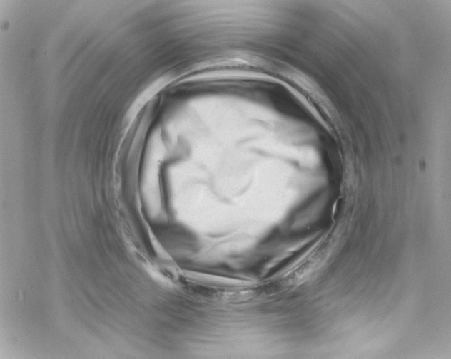 X0000069410858200606091805