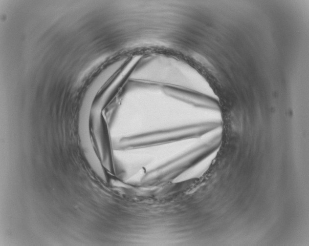X0000069410872200606091804