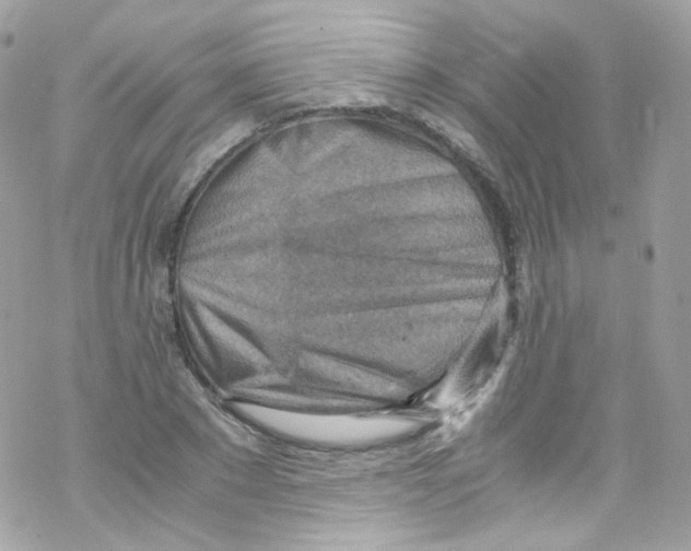 X0000069410881200606091804