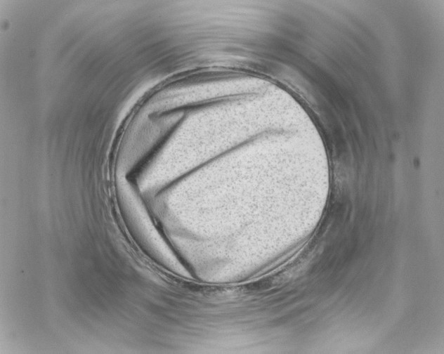 X0000069410891200606091804
