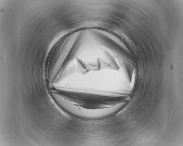 X0000069410894200606091803