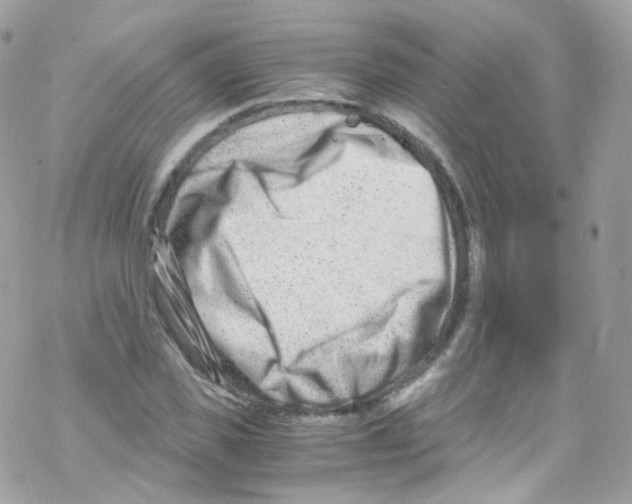 X0000069410925200606091803